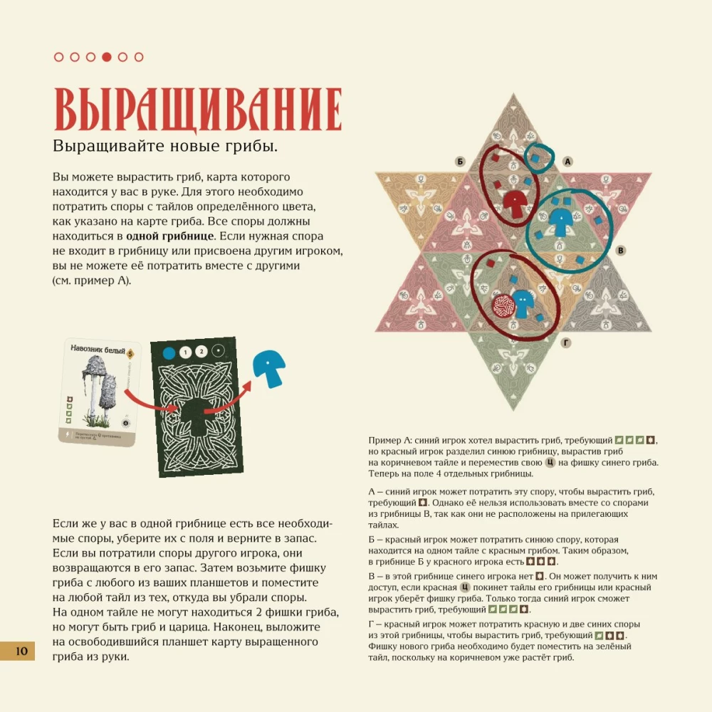 Stalo žaidimas - Micelijus